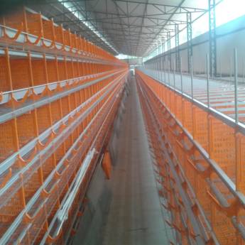 Comprar o produto de Postura Artabas em Outros em Santa Maria de Jetibá, ES por Solutudo