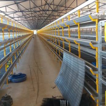 Comprar o produto de Recria de Codornas Killbra em Outros em Santa Maria de Jetibá, ES por Solutudo