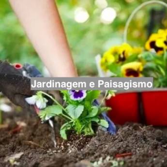 Comprar o produto de Jardinagem e Paisagismo em Jardinagem em Anápolis, GO por Solutudo