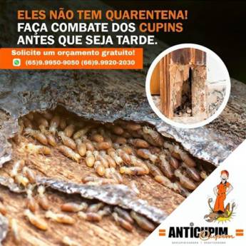 Comprar o produto de Descupinização  em Limpeza em Lucas do Rio Verde, MT por Solutudo