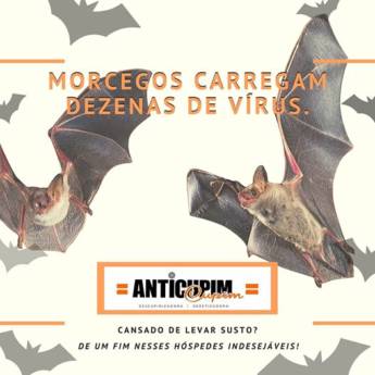 Comprar o produto de Controle e Repelência de Morcegos  em Limpeza em Lucas do Rio Verde, MT por Solutudo