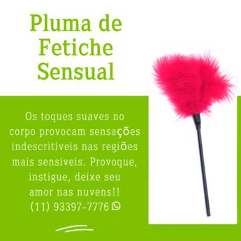 Comprar o produto de Pluma de Fetiche Sensual - 6ª CATEGORIA – Provoque - Massagem Sensual  em Brinquedos Eróticos em Guarulhos, SP por Solutudo