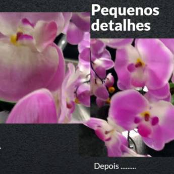 Comprar o produto de Pequenos Detalhes em Limpeza em São Paulo, SP por Solutudo