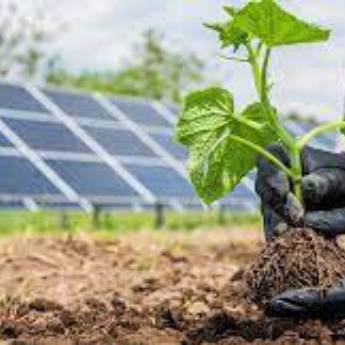 Comprar produto Energia solar para agronegócio em Bauru em Energia Solar pela empresa LF Segurança Eletrônica e Energia Solar em Bauru, SP