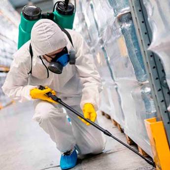 Comprar o produto de Controle de insetos rasteiros e voadores (Desinsetização) em Nossos Serviços em Tietê, SP por Solutudo