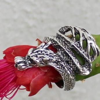 Comprar o produto de Anel Dragão Chinês em Anéis em São Paulo, SP por Solutudo