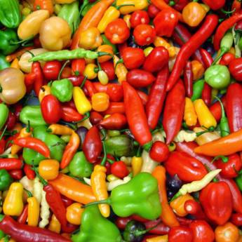 Comprar o produto de Pimentas em Molho de Pimenta em Birigui, SP por Solutudo