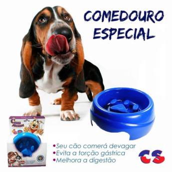 Comprar o produto de Comedouro Especial em Ração para Cachorros em Lençóis Paulista, SP por Solutudo