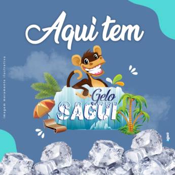 Comprar o produto de Gelo Sagui  em Gelo em Lençóis Paulista, SP por Solutudo