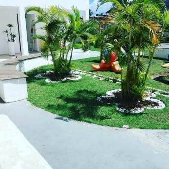 Comprar o produto de Serviços de Poda e Limpeza em Jardinagem em Salvador, BA por Solutudo