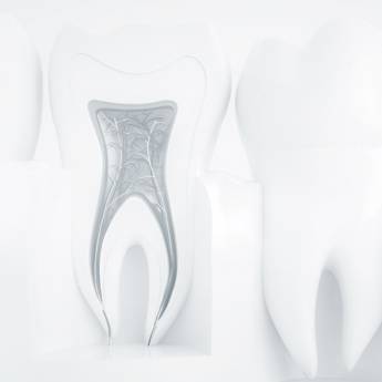 Comprar o produto de Endodontia em Odontologia em São Paulo, SP por Solutudo