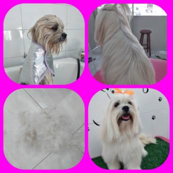 Comprar o produto de Hidratação e desembolo de Pelagens em Pet Shop em Bauru, SP por Solutudo