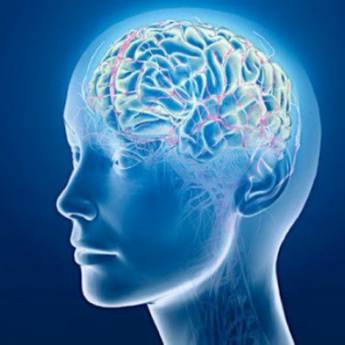 Comprar o produto de Hipnoterapia em Terapia Alternativa em Aracaju, SE por Solutudo