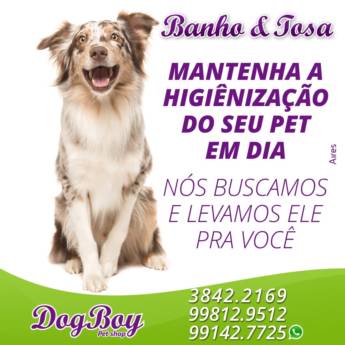 Comprar o produto de Banho e Tosa em Banho e Tosa em São Manuel, SP por Solutudo