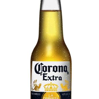 Comprar o produto de Corona Extra 330ml Long Neck R$7,00 caixa com 06 unidades R$38,00 em Cervejas em Brasília, DF por Solutudo