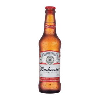 Comprar o produto de Budweiser 330ml Long Neck R$5,00 - caixa com 6 R$ 27,00 em Cervejas em Brasília, DF por Solutudo