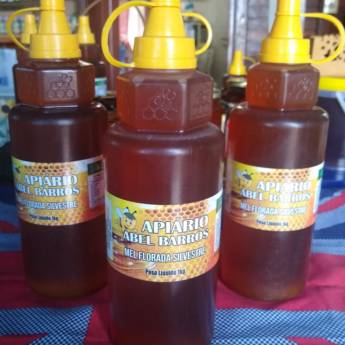 Comprar o produto de Mel Bisnaga 1KG em Mel em Itupeva, SP por Solutudo