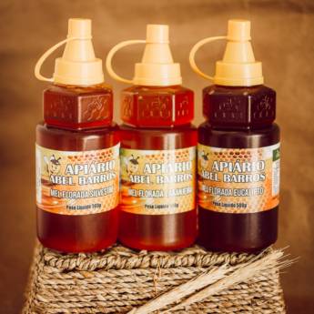 Comprar o produto de Mel Bisnaga 500G em Mel em Itupeva, SP por Solutudo