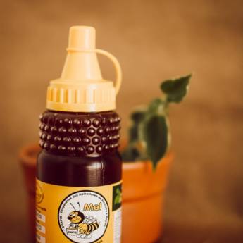 Comprar o produto de Mel Bisnaga 280G em Mel em Itupeva, SP por Solutudo