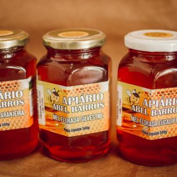 Comprar o produto de Mel Pote 500G em Mel em Itupeva, SP por Solutudo