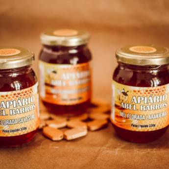 Comprar o produto de Mel Pote 330G em Mel em Itupeva, SP por Solutudo