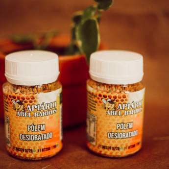 Comprar o produto de Pólen desidratado em Mel em Itupeva, SP por Solutudo