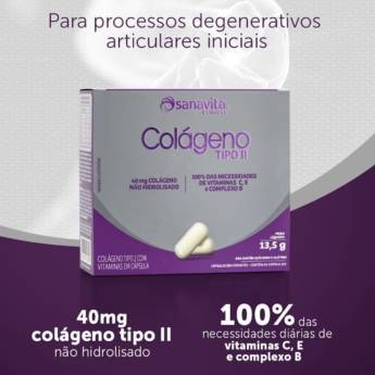 Comprar o produto de Colágeno Tipo II em Colágeno em Lençóis Paulista, SP por Solutudo