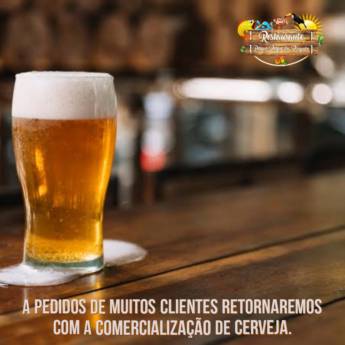 Comprar o produto de Voltamos a vender Cerveja! em Ofertas em Leopoldina, MG por Solutudo