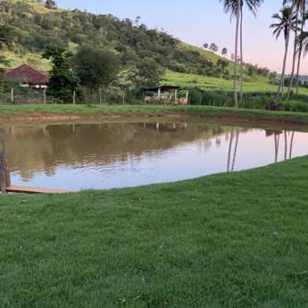 Comprar o produto de Plantio de Grama em Jardinagem em Mutum, MG por Solutudo