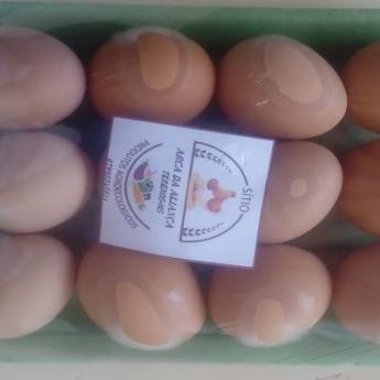 Comprar o produto de Ovos caipira 12,00 reais a dz em Cereais Integrais e Grãos em Campo Grande, MS por Solutudo