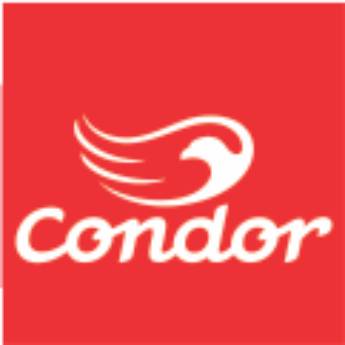 Comprar o produto de  Condor Pincéis em Tintas em Santa Cruz do Rio Pardo, SP por Solutudo