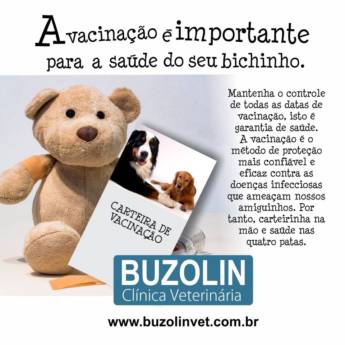 Comprar produto Vacina para cachorro em Clínicas Veterinárias pela empresa Clínica Veterinária Buzolin em Santa Cruz do Rio Pardo, SP