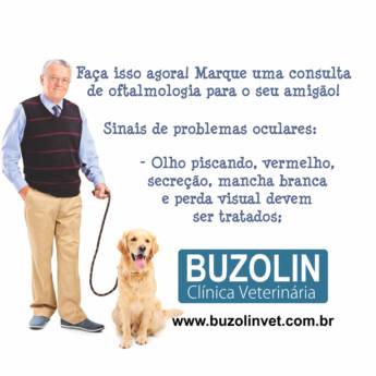Comprar o produto de Oftalmo para cachorro em Clínicas Veterinárias em Santa Cruz do Rio Pardo, SP por Solutudo