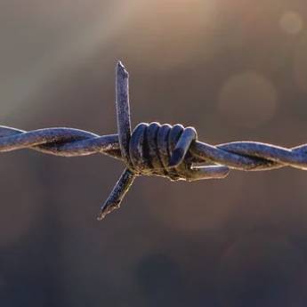 Comprar o produto de Arame Farpado em Arame Farpado em Marília, SP por Solutudo