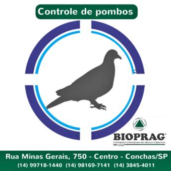 Comprar o produto de Controle de Pombos em Dedetizadoras pela empresa Dedetizadora Bioprag em São Manuel, SP por Solutudo