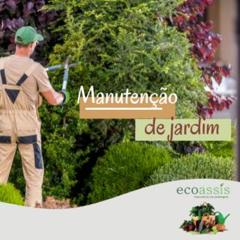 Comprar o produto de Manutenção de jardim  em Jardinagem em Assis, SP por Solutudo