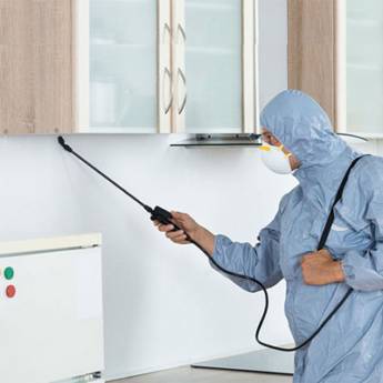 Comprar o produto de Desinsetização Residencial em Dedetização em Marília, SP por Solutudo