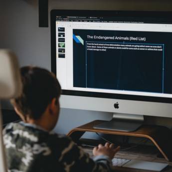 Comprar o produto de VipKids em Cursos Profissionalizantes em Aracaju, SE por Solutudo