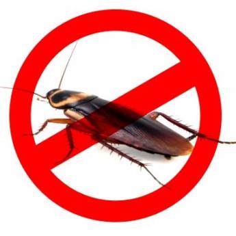 Comprar o produto de dedetização de baratas em Dedetização em Conchas, SP por Solutudo