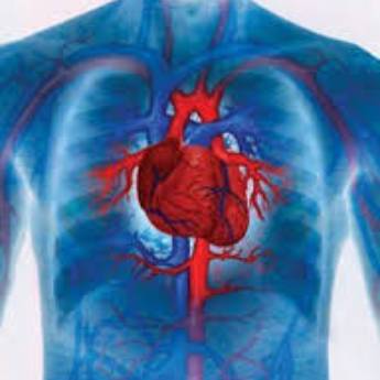 Comprar o produto de Fisioterapia Cardiorespiratória em Cardiologia em Humaitá, AM por Solutudo