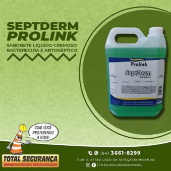 Comprar o produto de SeptDerm Erva Doce em Produtos de Limpeza pela empresa Total Segurança em Mineiros, GO por Solutudo