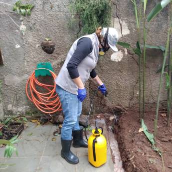 Comprar o produto de Controle de Pragas - Insetos e Ratos em Dedetização em São Carlos, SP por Solutudo