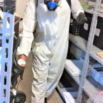 Comprar o produto de Desinsetização em Dedetização em Francisco Morato, SP por Solutudo