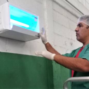 Comprar o produto de Captura de Insetos Voadores em Dedetização em Francisco Morato, SP por Solutudo