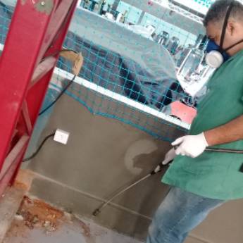 Comprar o produto de Descupinização em Dedetização em Francisco Morato, SP por Solutudo