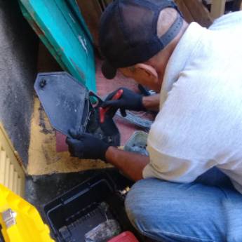 Comprar o produto de Desratização em Dedetização em Francisco Morato, SP por Solutudo