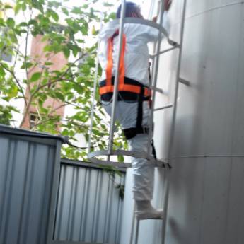 Comprar o produto de Higienização de Reservatórios em Dedetização em Francisco Morato, SP por Solutudo