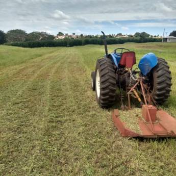 Comprar o produto de Preparação de Solo em Paisagismo em Piraju, SP por Solutudo