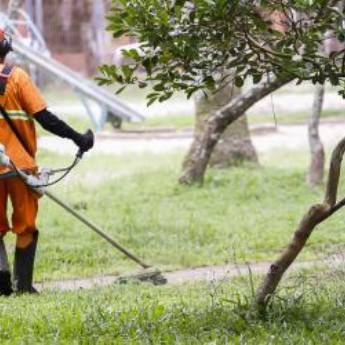 Comprar o produto de Roçada em Jardinagem em Piraju, SP por Solutudo