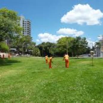 Comprar o produto de Limpeza de Área Verde em Jardinagem em Piraju, SP por Solutudo